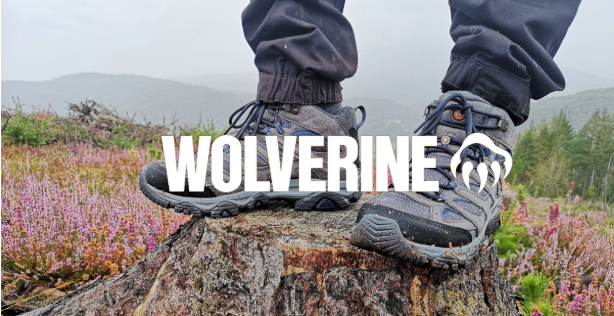 Wolverine Case Study